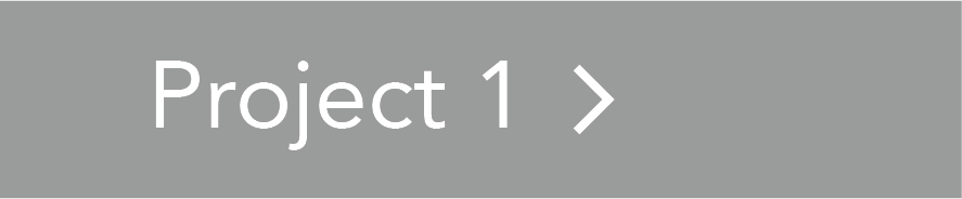 Project 1